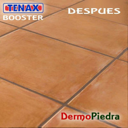 TENAX BOOSTER ALK limpiador y quitamanchas alcalino fuerte.