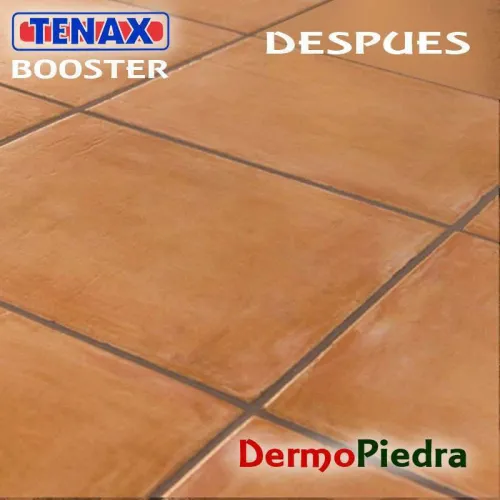 Tenax Booster Alk limpiador alcalino concentrado 1 litro