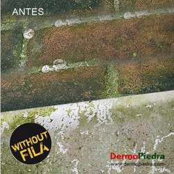 ALGACID (FILA ALGAE NET)
DETERGENTE ANTI-VERDIN PARA EXTERIORES