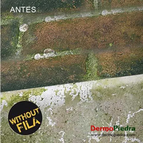 FILA ALGACID detergente para eliminar verdín algas moho y líquenes