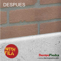 ALGACID (FILA ALGAE NET)
DETERGENTE ANTI-VERDIN PARA EXTERIORES