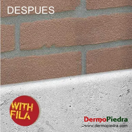 FILA ALGACID detergente para eliminar verdín algas moho y líquenes
