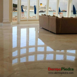 Detergente neutro concentrado FILACLEANER | Fila Cleaner garrafa de 1 litro