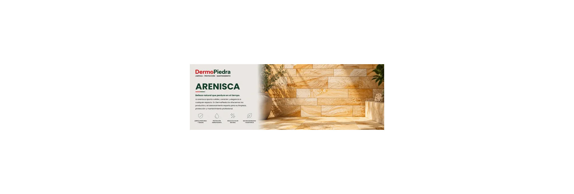 Arenisca